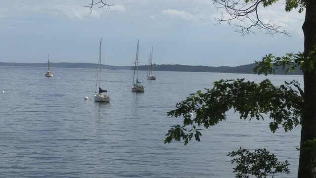 Sailboats anchored in bay on a summer afternoon