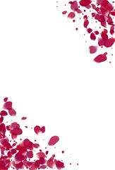 Beautiful Floral Falling Vector White Background.