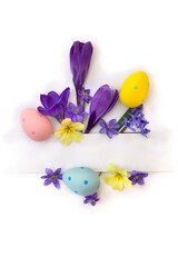 Easter decoration. Easter eggs and blue flowers hepatica, violet crocuses, yellow primula and white paper card with space for text on a white background. Top view, flat lay