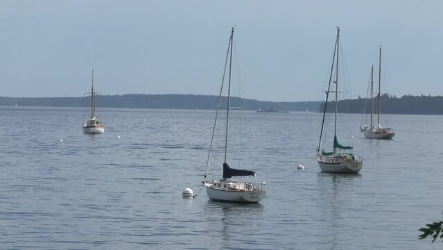 Anchored sailboats gently rocking in bay on summer afternoon