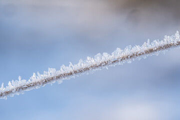 Frost bildet Eiskristalle auf Grashalm