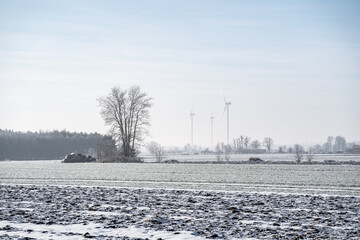 Silesia, Poland  - frost and snow