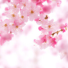 Cherry blossom in springtime. generative AI