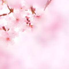 Spring concept. Pink blossom or background. generative AI
