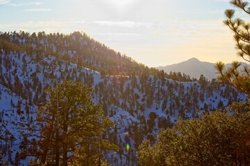Snow blankets areas along the Angeles Crest Highway, a curvy route through the Angeles National Forest in the San Gabriel Mountains