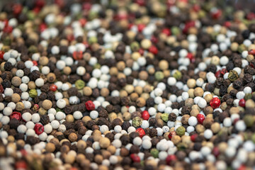 Dried seeds peppercorns white, red, beige, green, black colors, close up, macro, selective focus. Spice. Condiment. Organic food