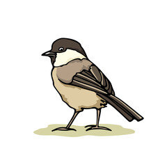 Vector card with hand drawn cute Willow Tit. Ink drawing, beautiful animal design elements. Logo template