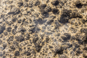 Atlantic ocean clear water, Fuerteventura