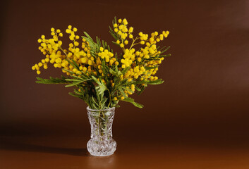 A bouquet of mimosa in a vase