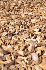 Bunch of wood chip filling whole picture