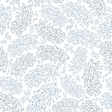 Blue and white elegant seagrass branches pattern. Vintage seamless vector with hand-drawn marine flora, plants, leaves, and seaweed. Modest and beautiful floral illustration in line art style.