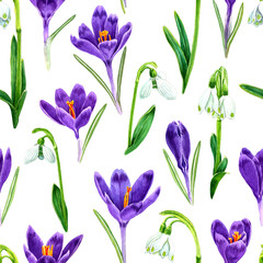 Seamless pattern of watercolor purple crocuses and snowdrop flowers. Hand drawn illustration. Botanical hand painted floral elements on white background.