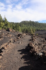 Teide, T&eacute;n&eacute;rife