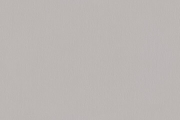 Gray paper with fine structure, closeup detail - seamless tileable texture, image width 20cm