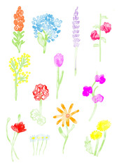 set of flowers, spring watercolor flowers, hand drawn flowers, minimalistic flat watercolor flowers, minimalistic watercolor