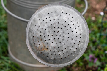 Detail of water bath in the foreground.