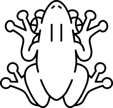 Frog  Icon