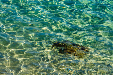 Fototapeta na wymiar Beautiful turquoise water, Protaras, Cyprus