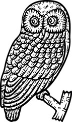 Owl Animal Coloring Page for Adult