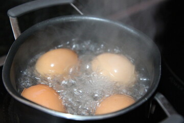 Boiled eggs. Cage-free eggs. Chicken eggs. Egg. Hard egg.