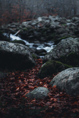 Big rocks with orange leaves and small river in the background.