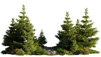 small fir forest, landscape isolated on transparent background - obrazy, fototapety, plakaty