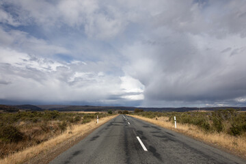 Tasmanian Driving