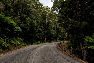 Fototapeta na wymiar Tasmanian Driving