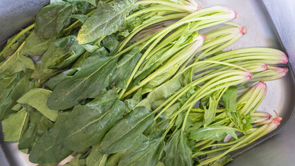 しなびたホウレン草を水にさらして復活させるイメージ