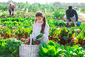 Portrait of a teenage girl squatting on the garden beds with a basket of crops on the vegetable...
