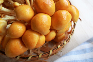 株なめこ　アップ