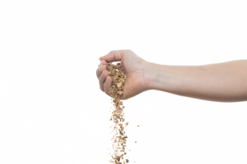 Man Hand hold pour sands of time.Big size Sand flying explosion, Golden grain wave explode. Abstract cloud fly. Yellow colored sand splash throwing in Air. White background Isolated.