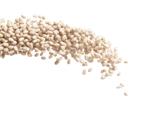 White bean fly explosion group, white bean float explode, abstract cloud fly. Off-white beans...