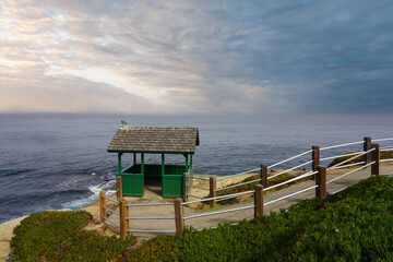 Sea Gull on Roof by Ocean