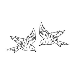 vector illustration of two birds line concept
