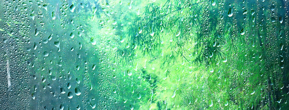 spring rain green, springtime wet abstract background