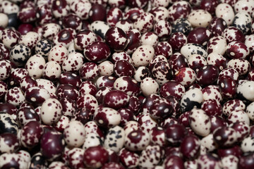 Nuna Peruvian Popping Beans