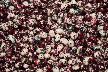 Nuna Peruvian Popping Beans