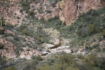 Fototapeta na wymiar Canyon in the desert