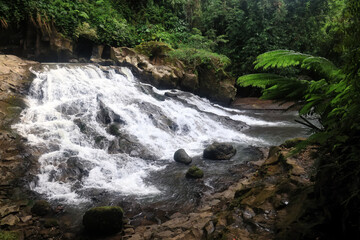 Fototapeta premium landscape waterfall in the jungle nature asia