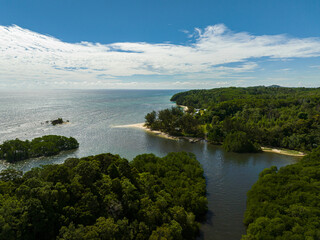 Coast of Borneo island and tropical vegetation and jungle. Sabah, Malaysia.