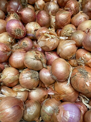Harvested onions, ripe and ready for use, available in the grocery store