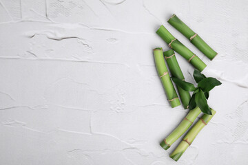 Pieces of beautiful green bamboo stems on white textured background, flat lay. Space for text