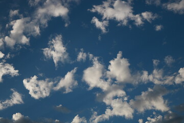 La Magia del Cielo Azul: Un Lienzo de Nubes Blancas