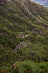 Close up the Hiking Trail from far away view in hawaii. green path. 