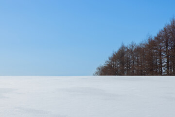 Fototapeta na wymiar 青と白の雪景色