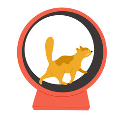 Exercise wheel for cat. Pet Fitness. Exercise for cat indoors. Vector flat cartoon illustration isolated on white background.