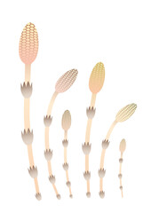 つくしのイラスト