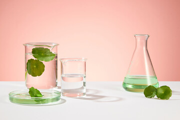 Minimal background for cosmetic of natural extract with laboratory concept. Fresh gotu kola leaves...