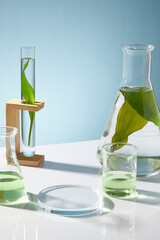 Laboratory concept with equipment - test tube, beaker, erlenmeyer flask are containing seaweed...
